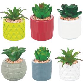 Piantina grassa artificiale &#216; 5